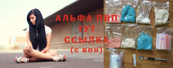 соль ск Богородск