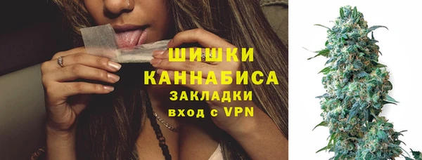 прущие грибы Богданович