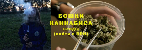 винт Бронницы