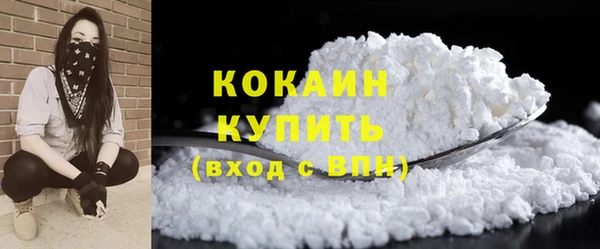соль ск Богородск