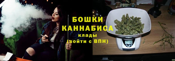 прущие грибы Богданович