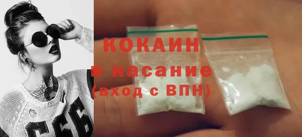 прущие грибы Богданович