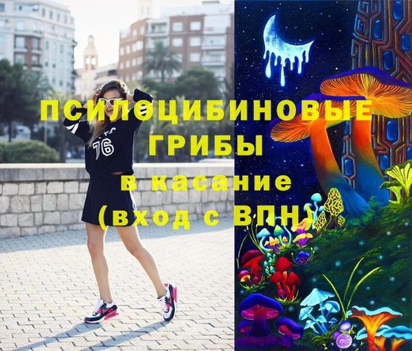 твердый Бородино