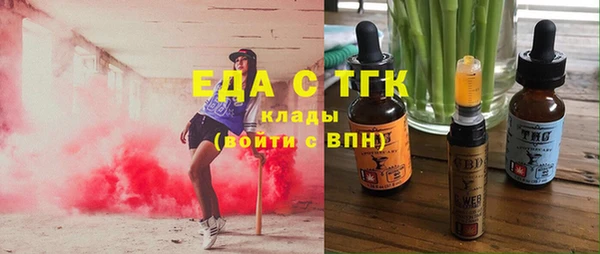твердый Бородино