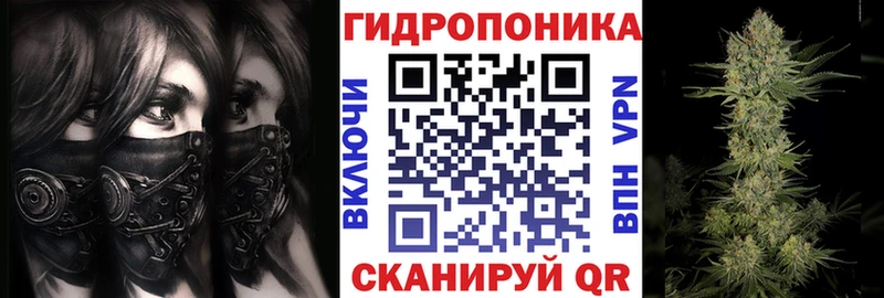 Купить закладки  Ивангород  Шишки марихуана ГИДРОПОН 